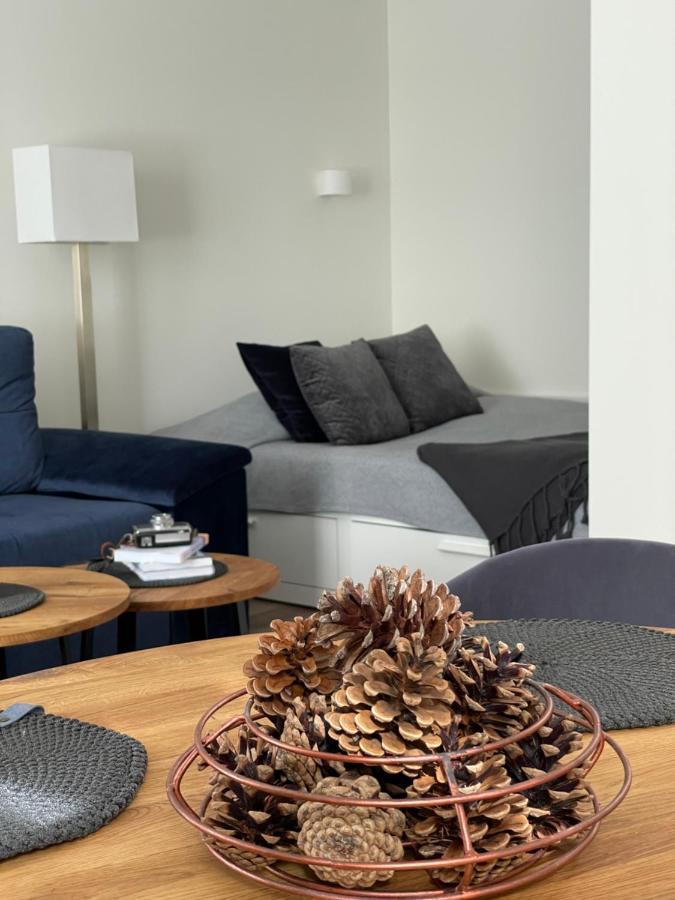 Forest Studio Druskininkai Exteriör bild