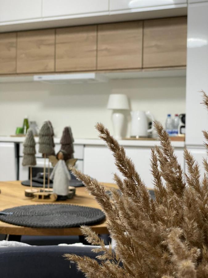 Forest Studio Druskininkai Exteriör bild