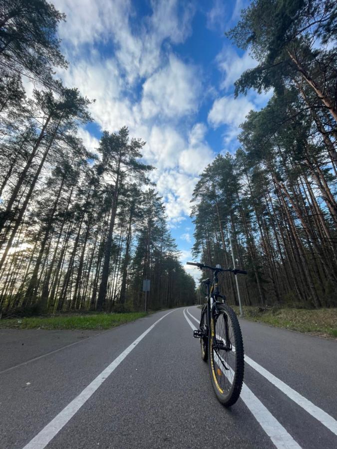 Forest Studio Druskininkai Exteriör bild